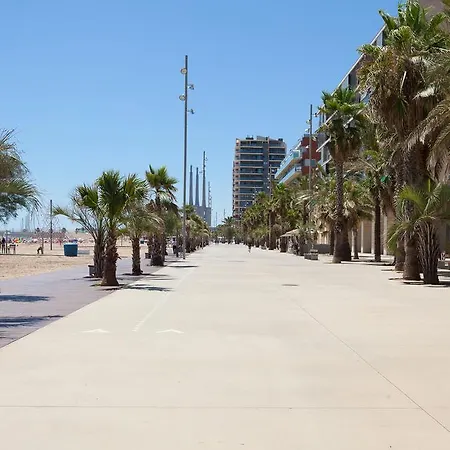 Port And Beach